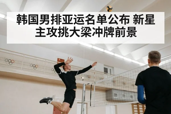 韩国男排亚运名单公布 新星主攻挑大梁冲牌前景